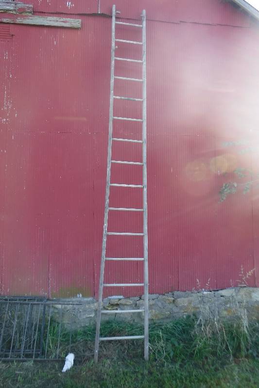 lot 7580 image: Vintage wood ladder- very tall