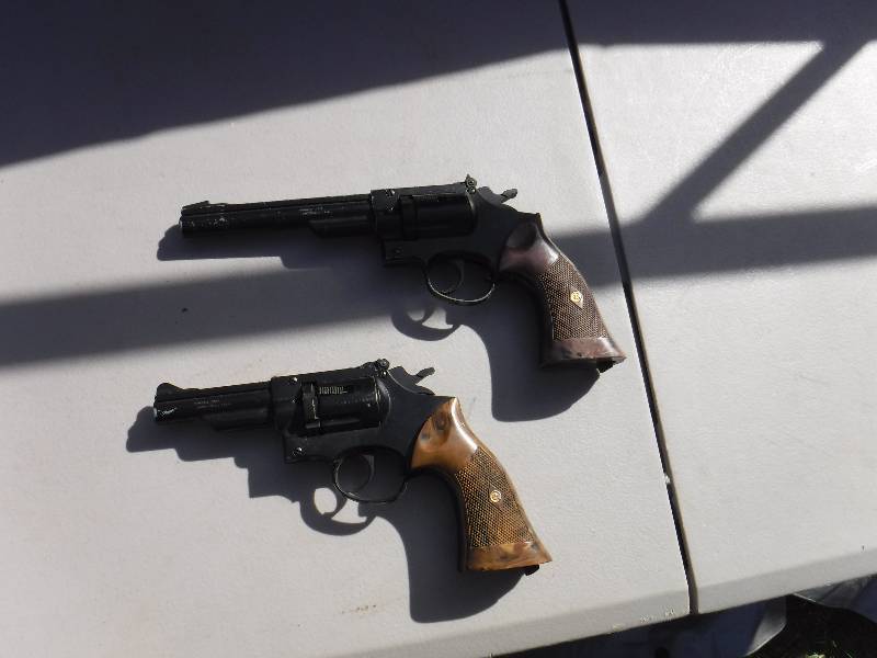 lot 6875 image: co2 pellet pistols