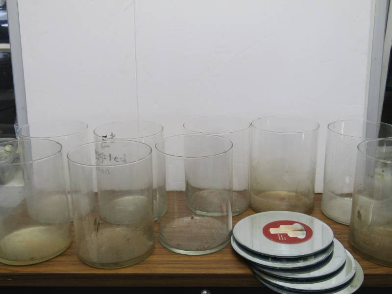 lot 3395 image: Large Glass Vases and Mirror Bases