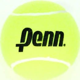 lot 12893 image: Penn Championship Extra Duty Tennis Ball, 16 Cans