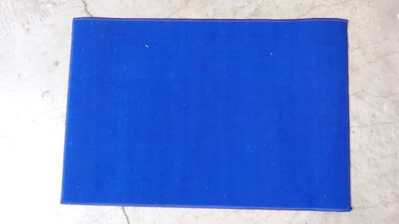 lot 13259 image: Fun Rugs Blue Rug 31x47in