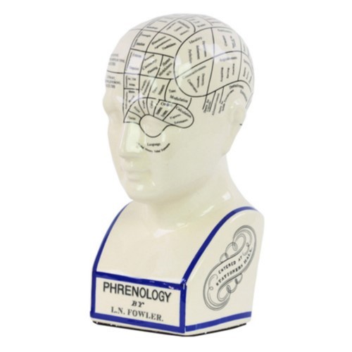 lot 13701 image: Urban Trends Phrenology Head Bust with Printed Labels