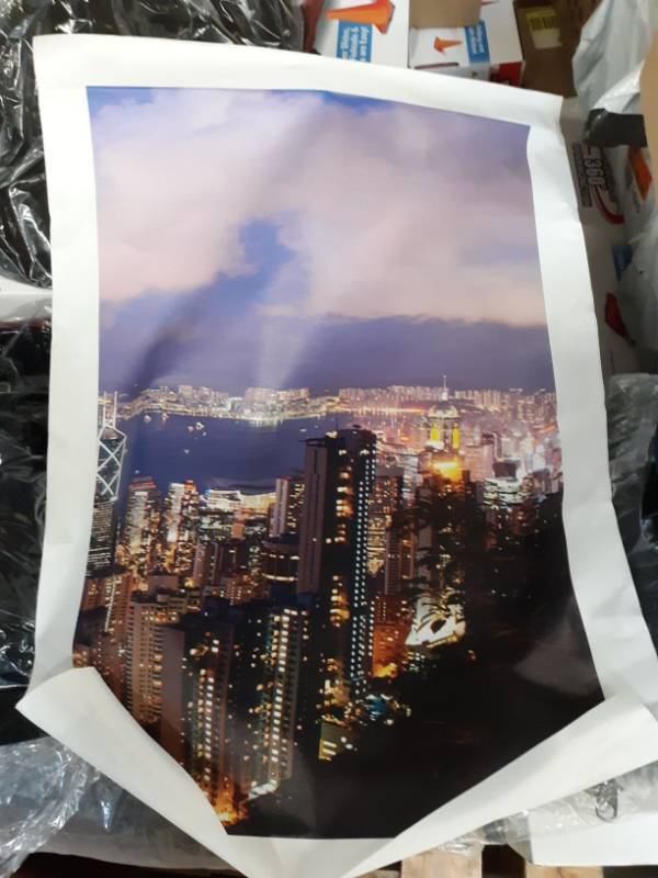 lot 14054 image: Tokyo Canvas