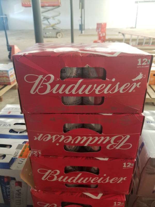 lot 15285 image: (4) Budweiser 12Pk Cans