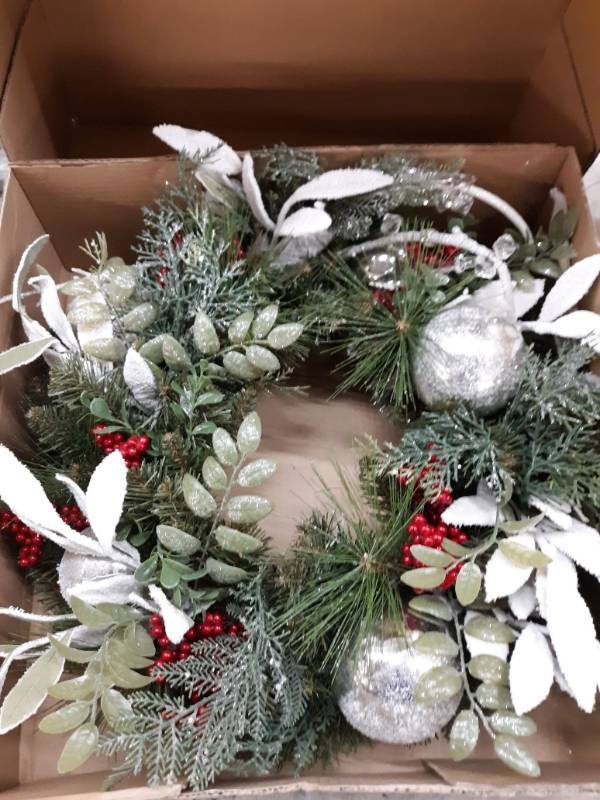 lot 16131 image: Christmas Reef