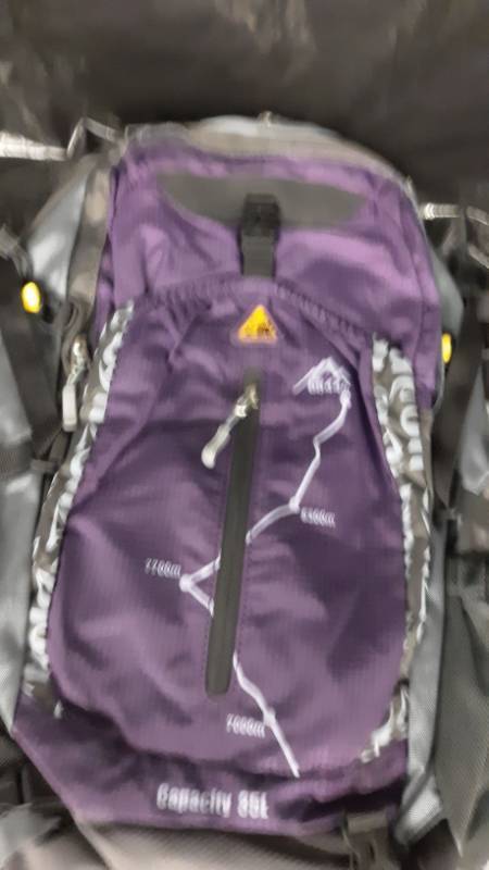 lot 11447 image: kimlee backpack