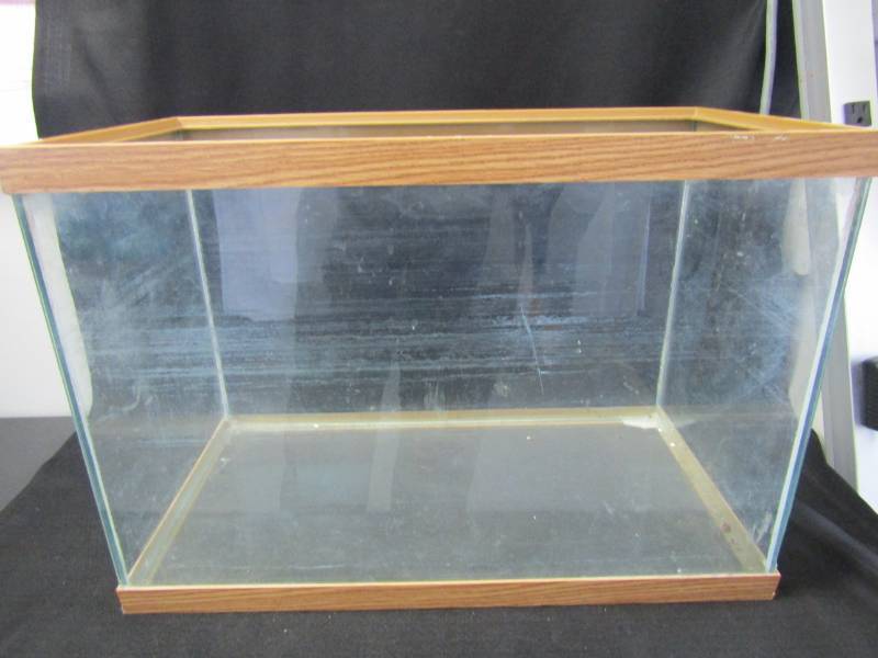 lot 5453 image: Aquarium