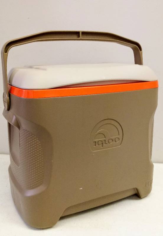 lot 5519 image: Igloo Portable Cooler