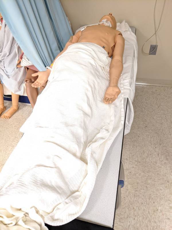 lot 3889 image: Interactive Medical Mannequin