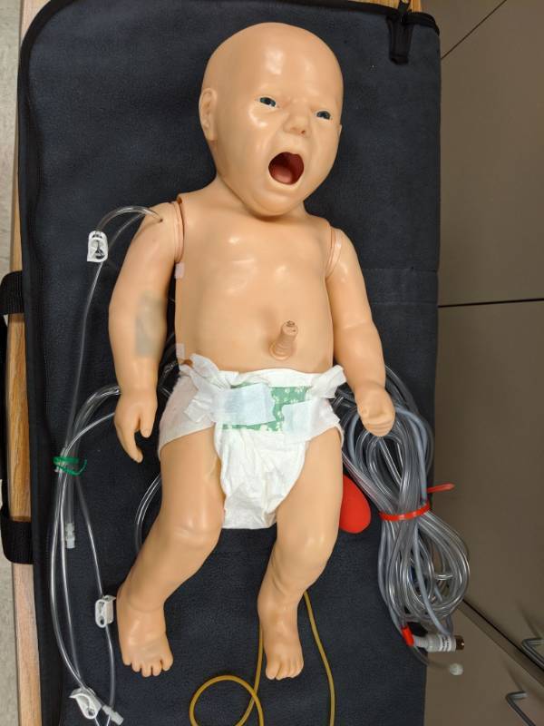 lot 3899 image: Laederal Medical Baby Simulator