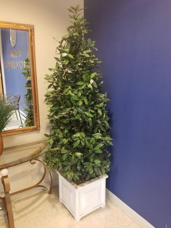 lot 1919 image: 6ft Fake Plant