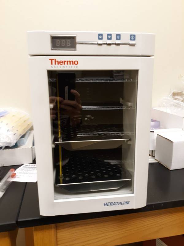 lot 6511 image: Thermo Scientific Heratherm IMC 18