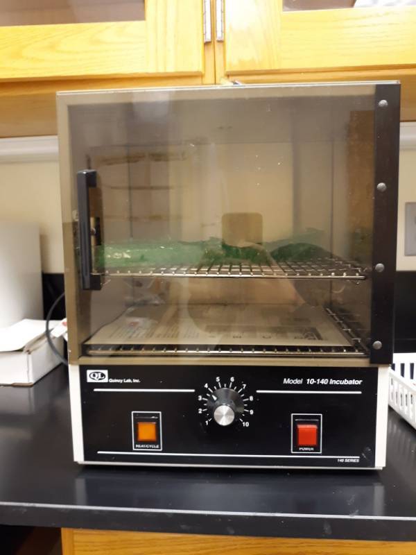 lot 6513 image: Quincy Lab Inc. Model 10-140 Incubator