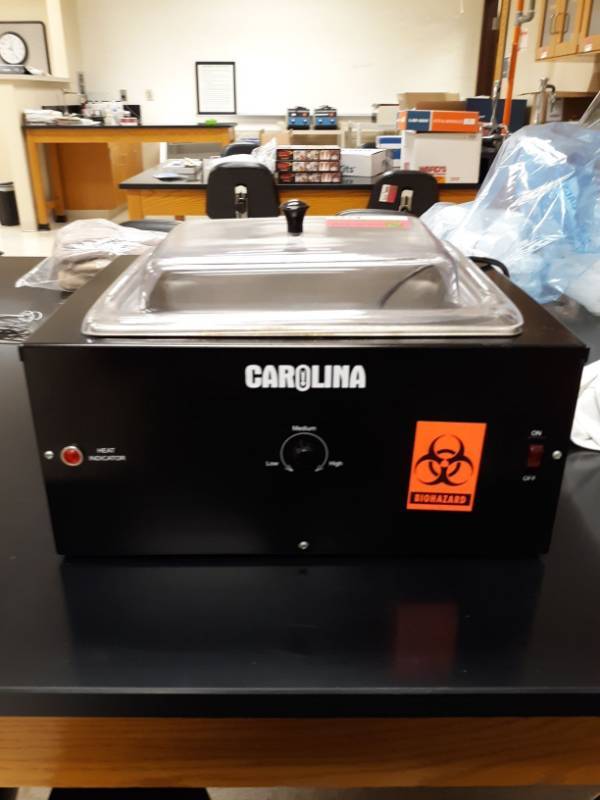 lot 6525 image: Carolina Water Bath
