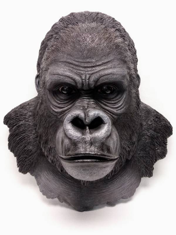 lot 33 image: Head MountBust-  Resin  Gorilla- Appears New