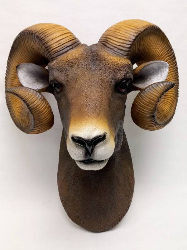 lot 35 image: Head MountBust-  Resin  Ram Appears New