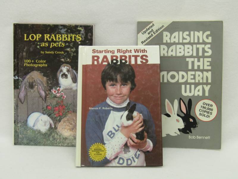 lot 5662 image: Rabbit Books- Raising and Breeding