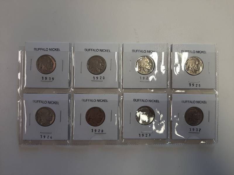 lot 1515 image: Card of 8 Buffalo nickels