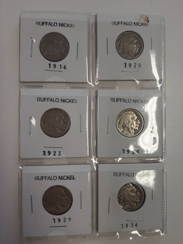 lot 1529 image: Card of 6 Buffalo nickels