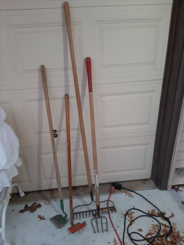 lot 1598 image: Long handled tools - hoes and rakes