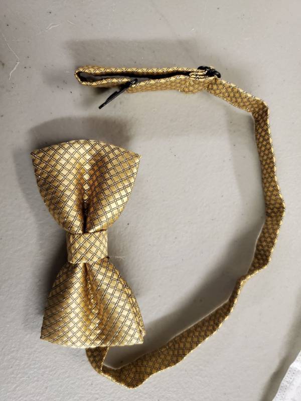 lot 16325 image: Pet Bowtie