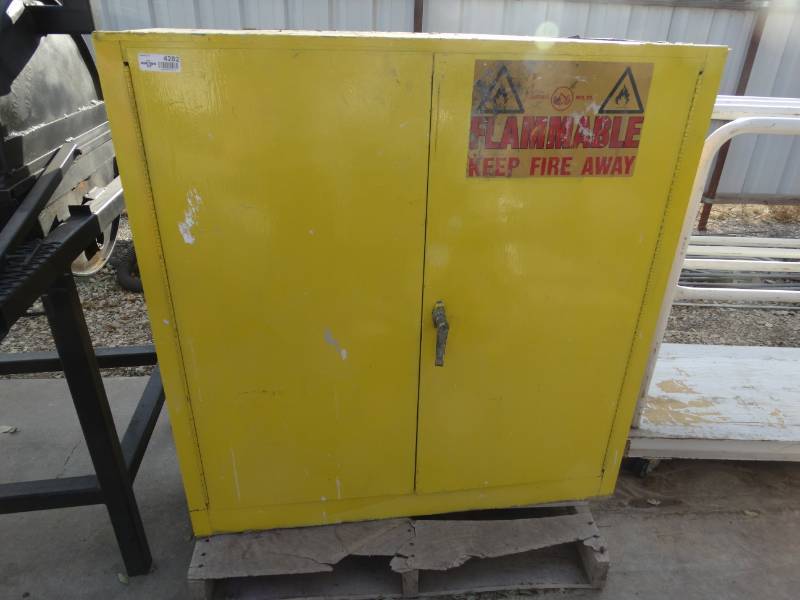 lot 4282 image: 2 door safety flammable cabinet