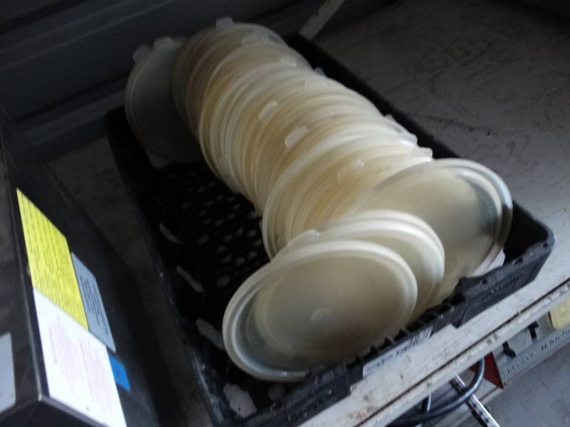 lot 4846 image: Lot of plastic food container lids
