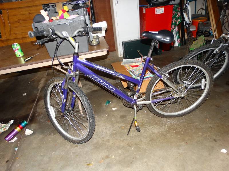 lot 2089 image: Magna Great Divide Bicycle