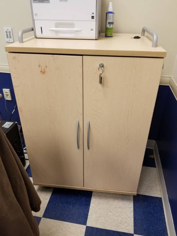 lot 3681 image: Locking Cabinet On Casters