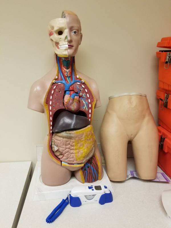 lot 3735 image: Teaching Anatomy Equipment, Lumeon Temperature Reader