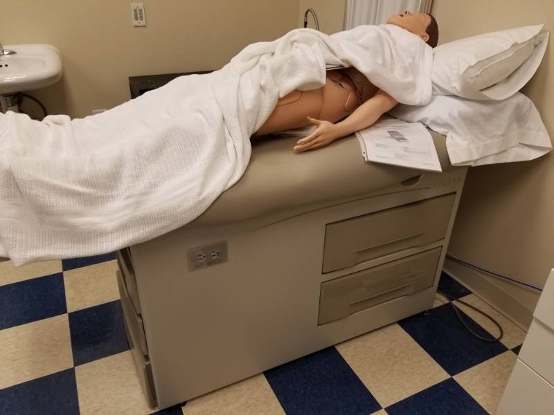lot 3738 image: Brewer Access Exam Table Model 50005001
