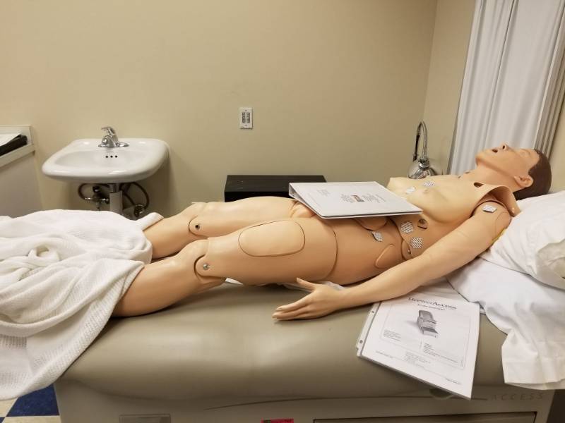 lot 3739 image: Teaching Dummy