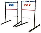 lot 1728 image: Ladderball Pro Steel