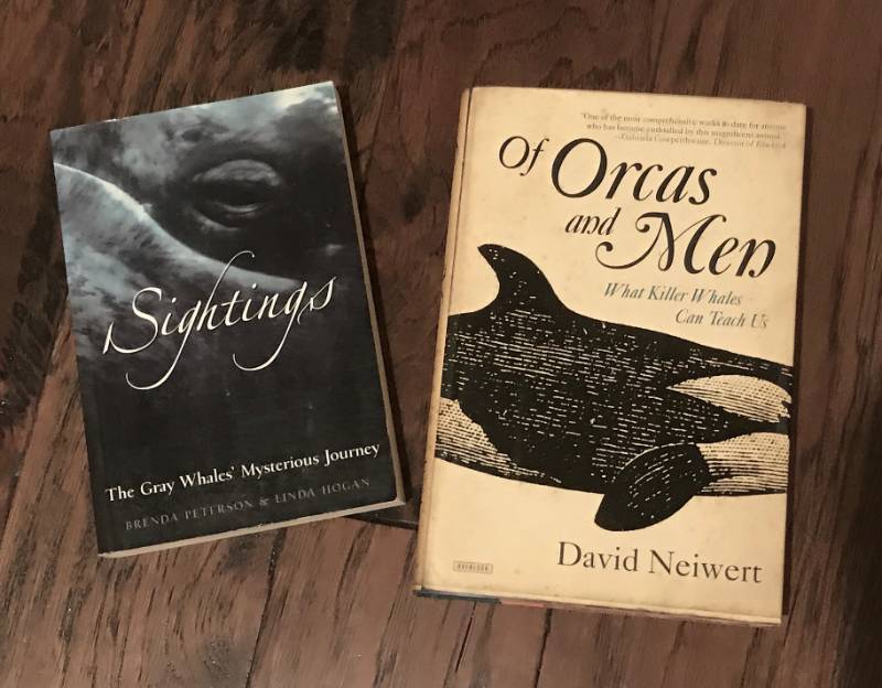 lot 1147 image: Whale books-Sightings and of Orcas and Men