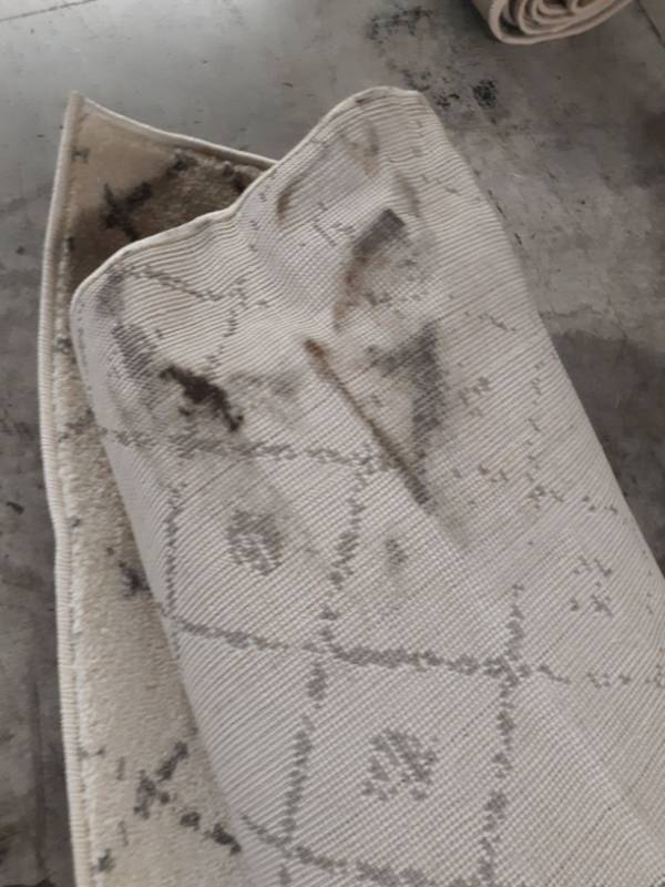lot 18288 image: 8x10 Bodrum Rug Grey