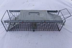 lot 6987 image: Small Animal Live Trap