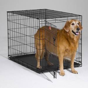 lot 1973 image: Midwest 1542 iCrate Single-Door Pet Crate 42-By-28-By-30-Inch