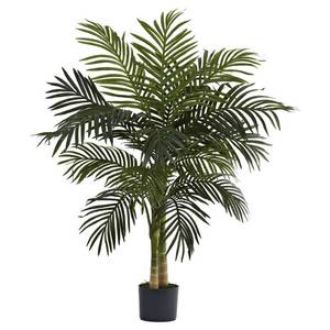 lot 2319 image: 4-inch Golden Cane Palm Tree