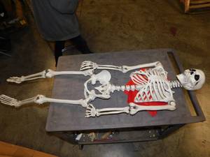 lot 2276 image: Skeleton Decoration