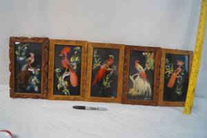 lot 2184 image: Lot of 5 Vintage Mexican Feather Art Pictures -Hand Painted Details in Background, Real Feathers, and Hand Carved Frames - ABSOLUTLEY STUNNING