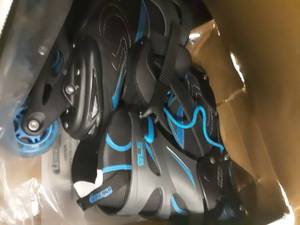 lot 2173 image: Chicago Skates