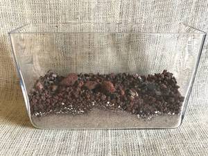 lot 2531 image: Glass Planter---ready to plant succulents