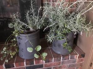 lot 2968 image: Set of 12 Resin Planters with Plants