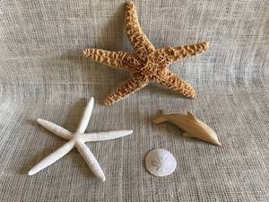 lot 2970 image: Wood Dolphin figurine along with Star Fish and sand dollar