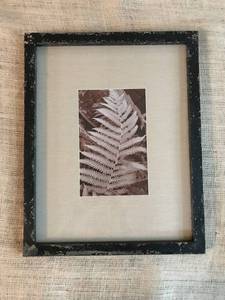 lot 3060 image: Rustic framed wall decor of black & white photo of fern leaf (with glass)