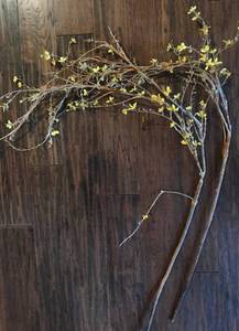 lot 3140 image: Long Stem yellow floral branches--5ft long