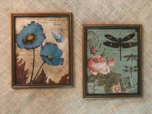 lot 3144 image: Framed 8 x 10 Nature Prints