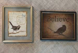 lot 3148 image: Framed 8 x 10 Bird Prints