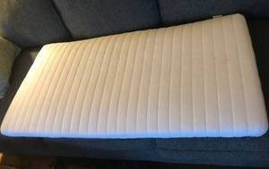 lot 1050 image: Large CushionMattress Pad with Cover