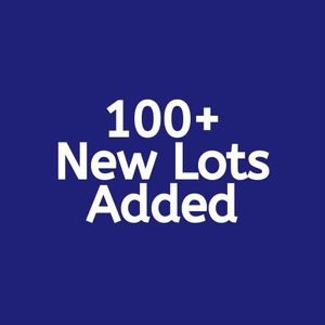lot 999 image: 100 New Lots Added